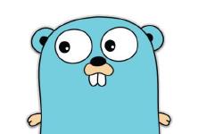 Featured image of post Go